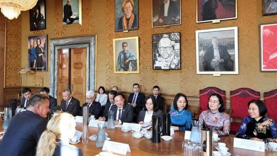 NA Vice Chairman seeks stronger ties with Denmark
